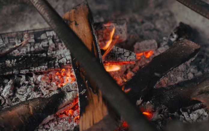 Surprising Uses for Wood Ash