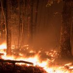Portland-Arsonist-Back-at-It