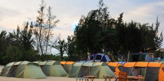 Survival Camps Prep for Election