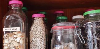 Long-Term Seed Storage