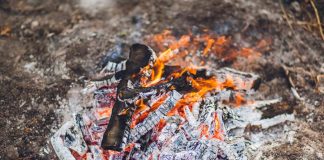 4 Ways You Can Use Wood Ash