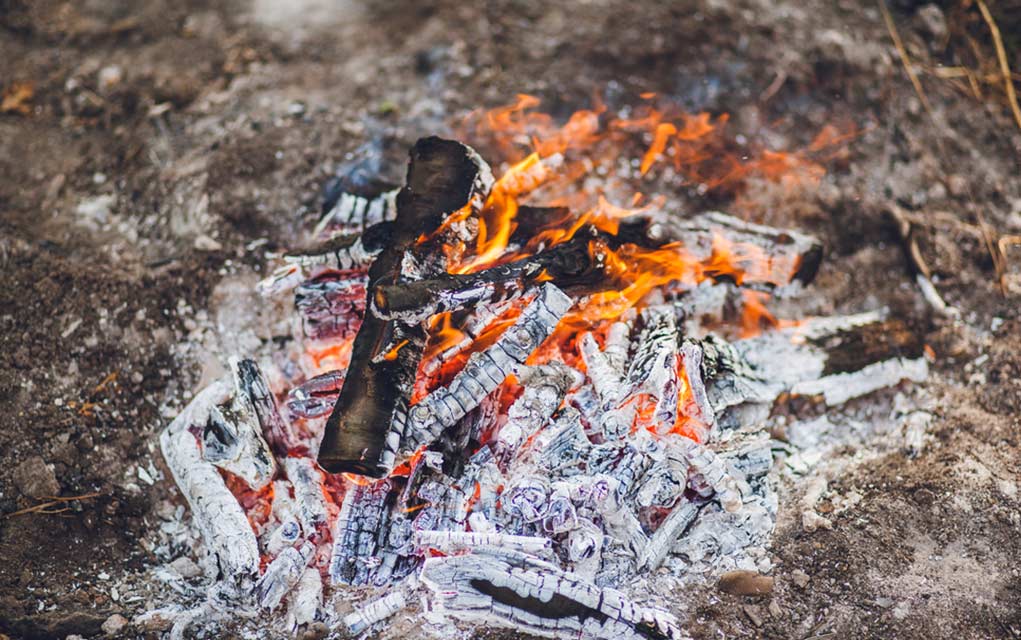 4 Ways You Can Use Wood Ash