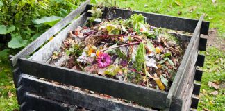 Building a Compost Pile in Your Yard
