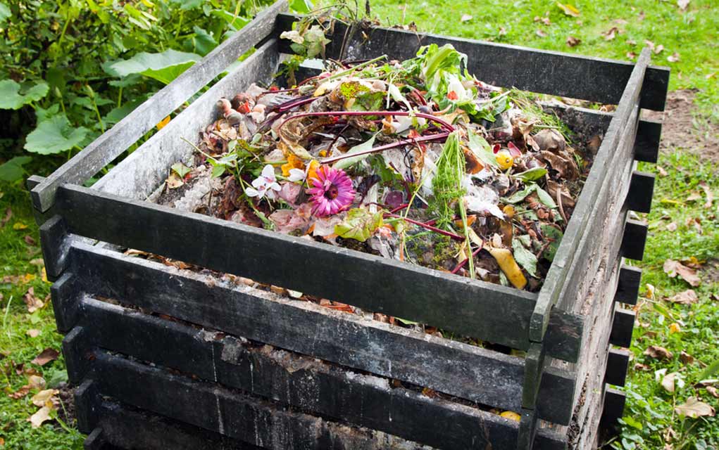 Building a Compost Pile in Your Yard